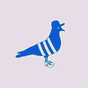 Meet your Posher, Dennis